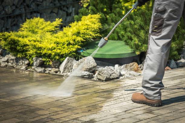 Best Driveway Pressure Washing  in Silver Springs, FL