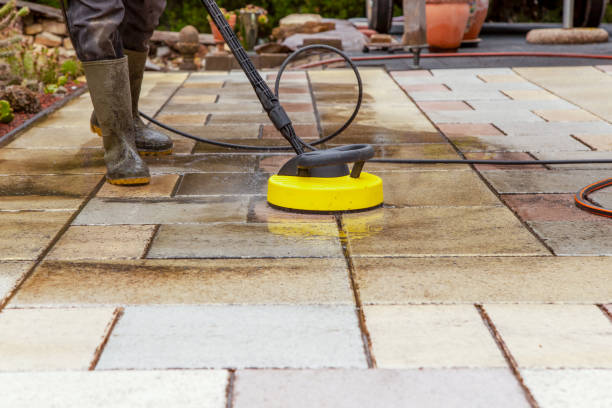Best Solar Panel Cleaning  in Silver Springs, FL