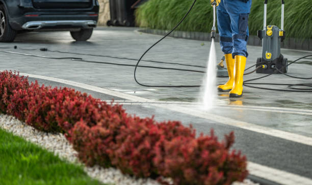 Best Animal Enclosure Cleaning  in Silver Springs, FL